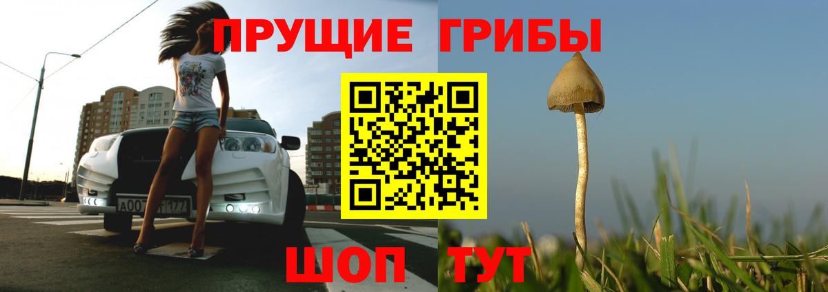 Псилоцибиновые грибы прущие грибы Кашира